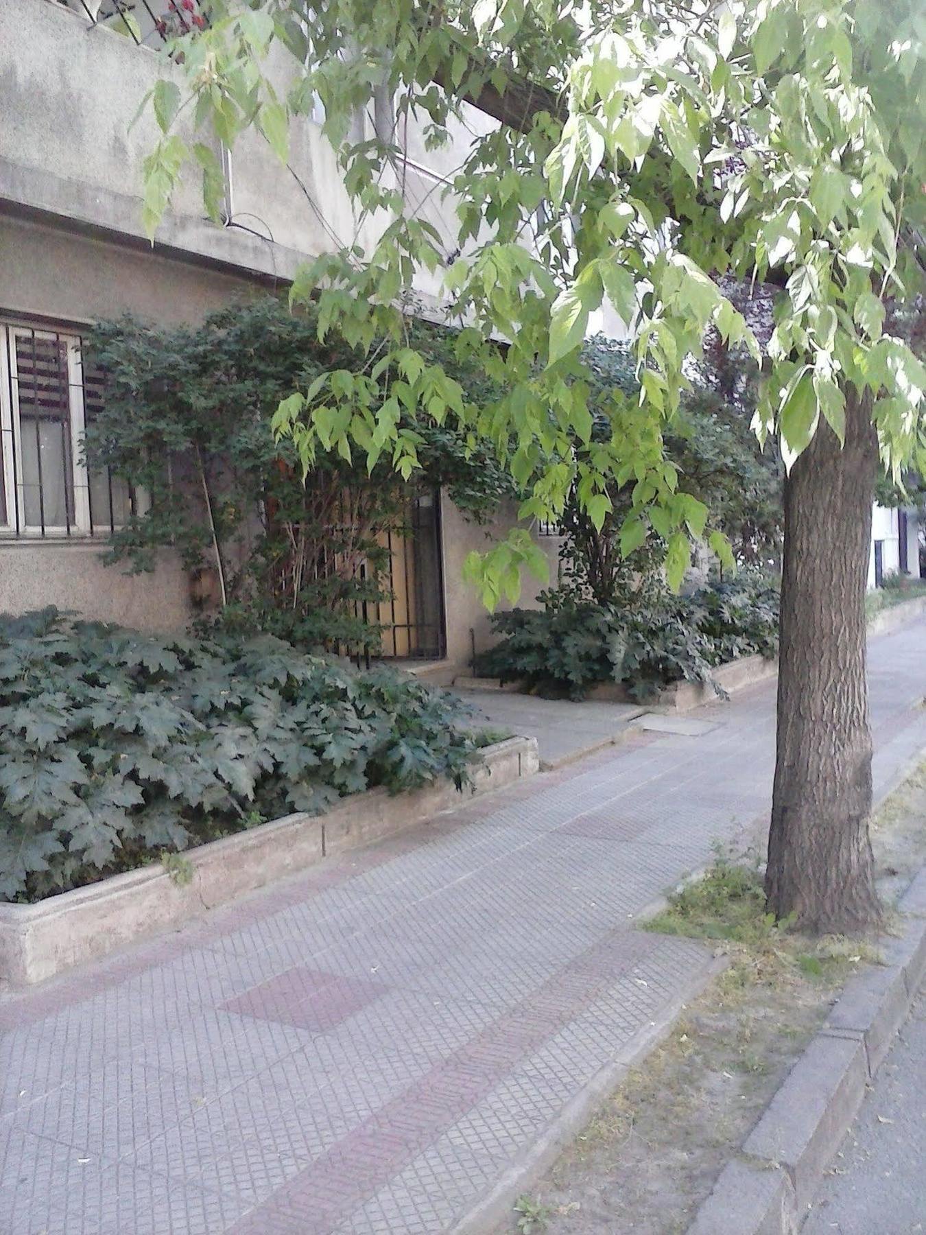 Marilu 'S Bed And Breakfast Hostel 圣地亚哥 外观 照片